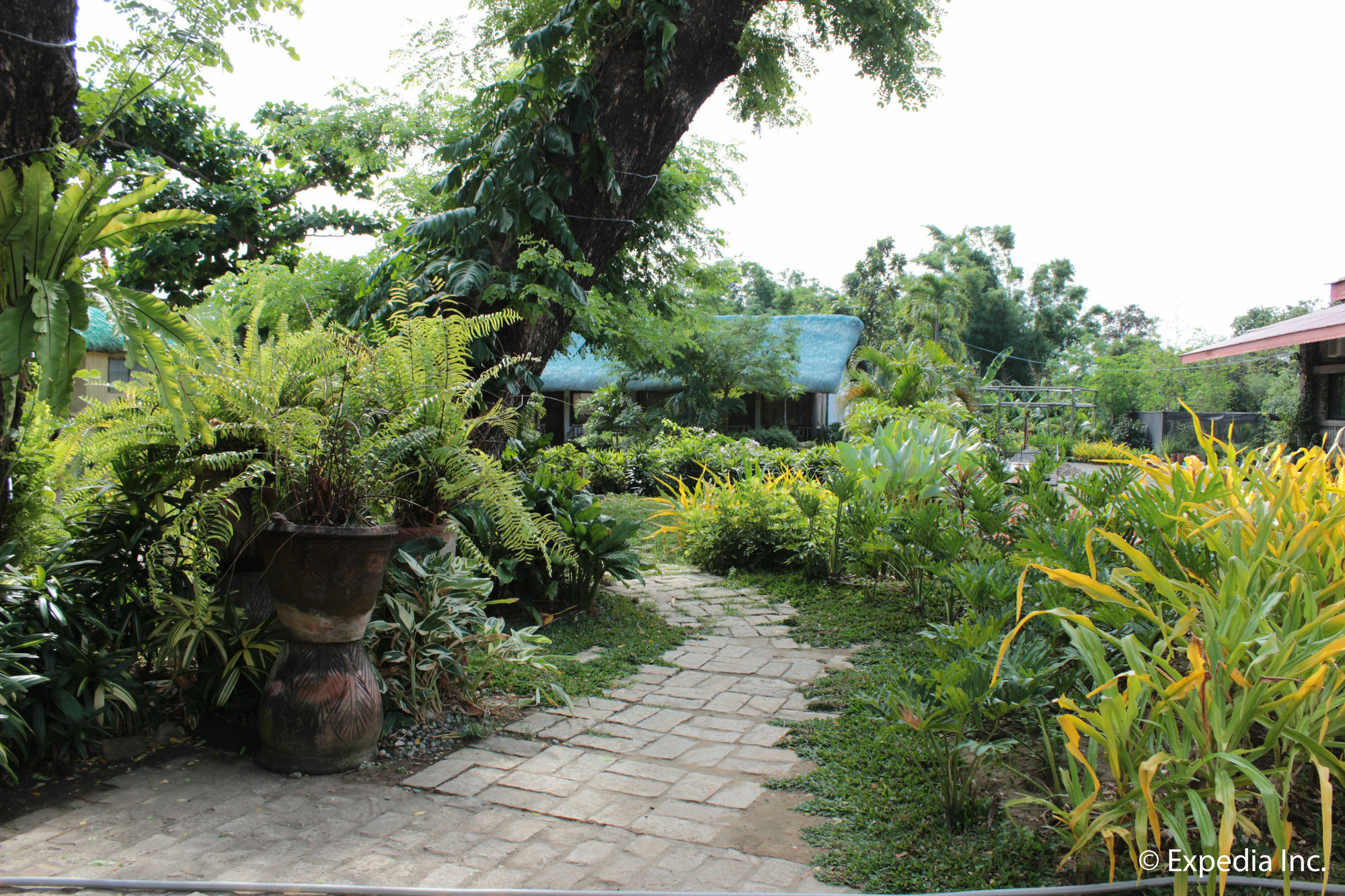 Reddoorz Plus Near Vigan Convention Center Exterior foto